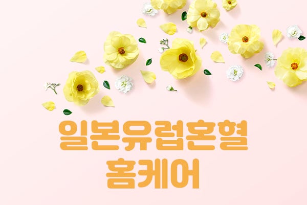 여쌤.다인[일본유럽혼혈]홈케어